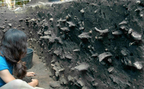 No Amazonas existem 607 sítios arqueológicos e 431 estão localizados em áreas que foram desmatadas. Foto: (Divulgação)