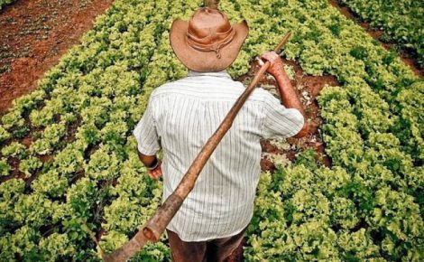 reforma agrária