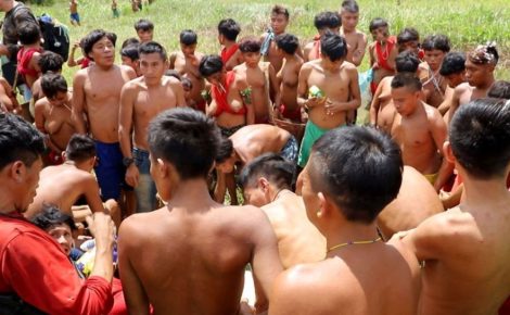yanomami foto tv brasil